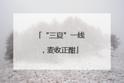 “三夏”一线，麦收正酣