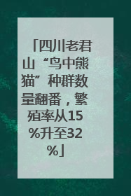 四川老君山“鸟中熊猫”种群数量翻番，繁殖率从15%升至32%